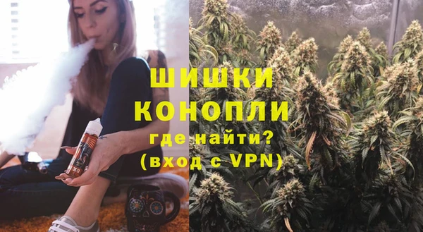 ГАЛЛЮЦИНОГЕННЫЕ ГРИБЫ Медногорск