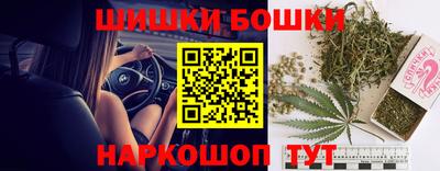 СК Гай