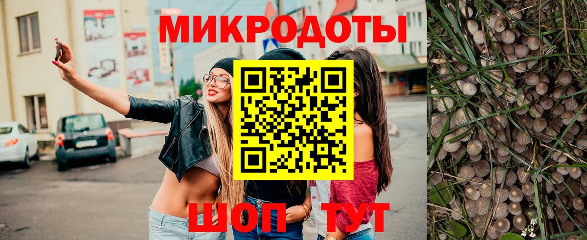Усть-Лабинск  где найти наркотики  Вход с VPN  Галлюциногенные грибы Cubensis 
