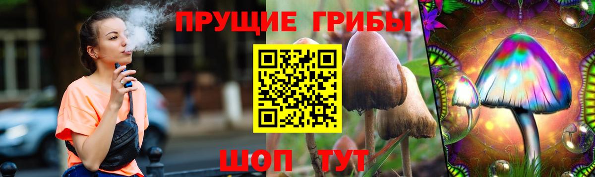 Галлюциногенные грибы Psilocybe Усть-Лабинск